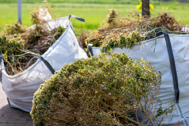 Best Yard Waste Removal  in Anthony, NM