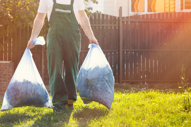 Best Junk Hauling Services  in Anthony, NM