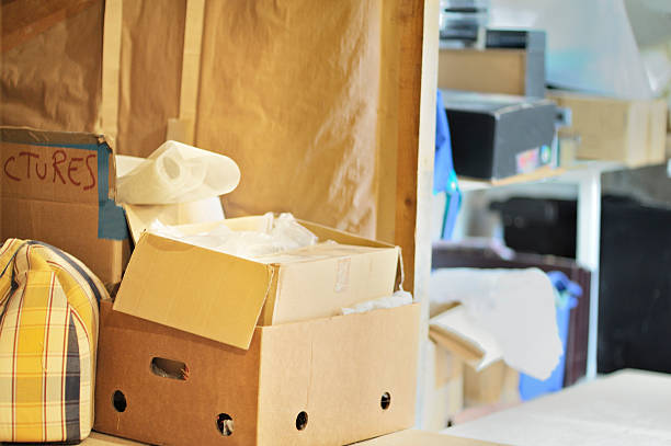 Best Household Junk Removal  in Anthony, NM
